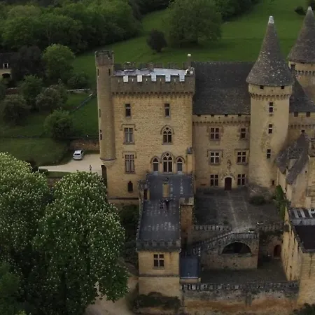 Dependance Du Chateau De Puymartin -